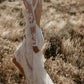 Booma Boho dentelle sirène robes de mariée manches longues encolure carrée trompette bohème robes de mariée sexy dos nu robes de mariée