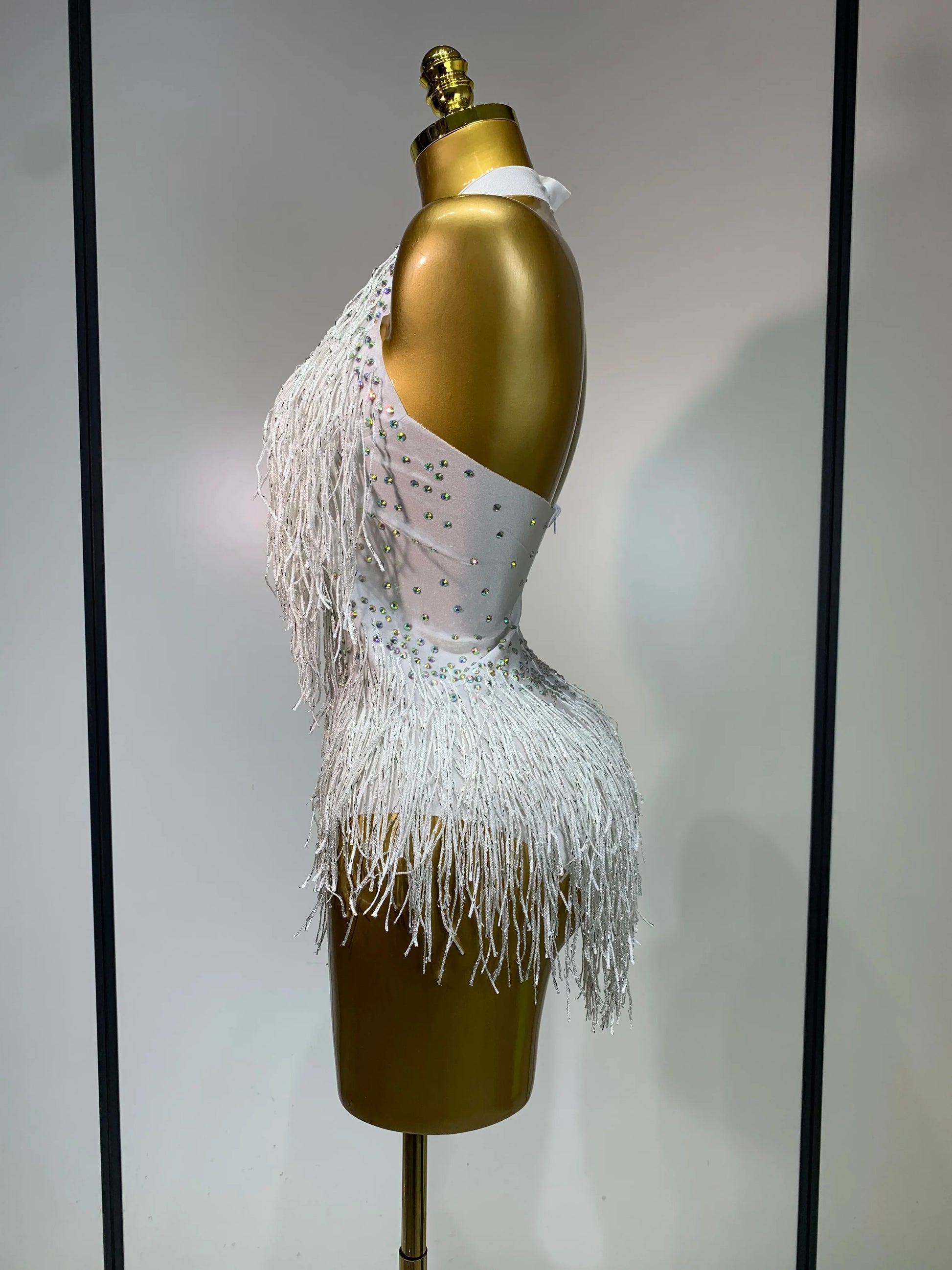 Sparkly Rhinestones Fringes Leotard Women Nightclub Evening Party Outfit Dance Costume Stage Outfit Sexy Performance Bodysuit