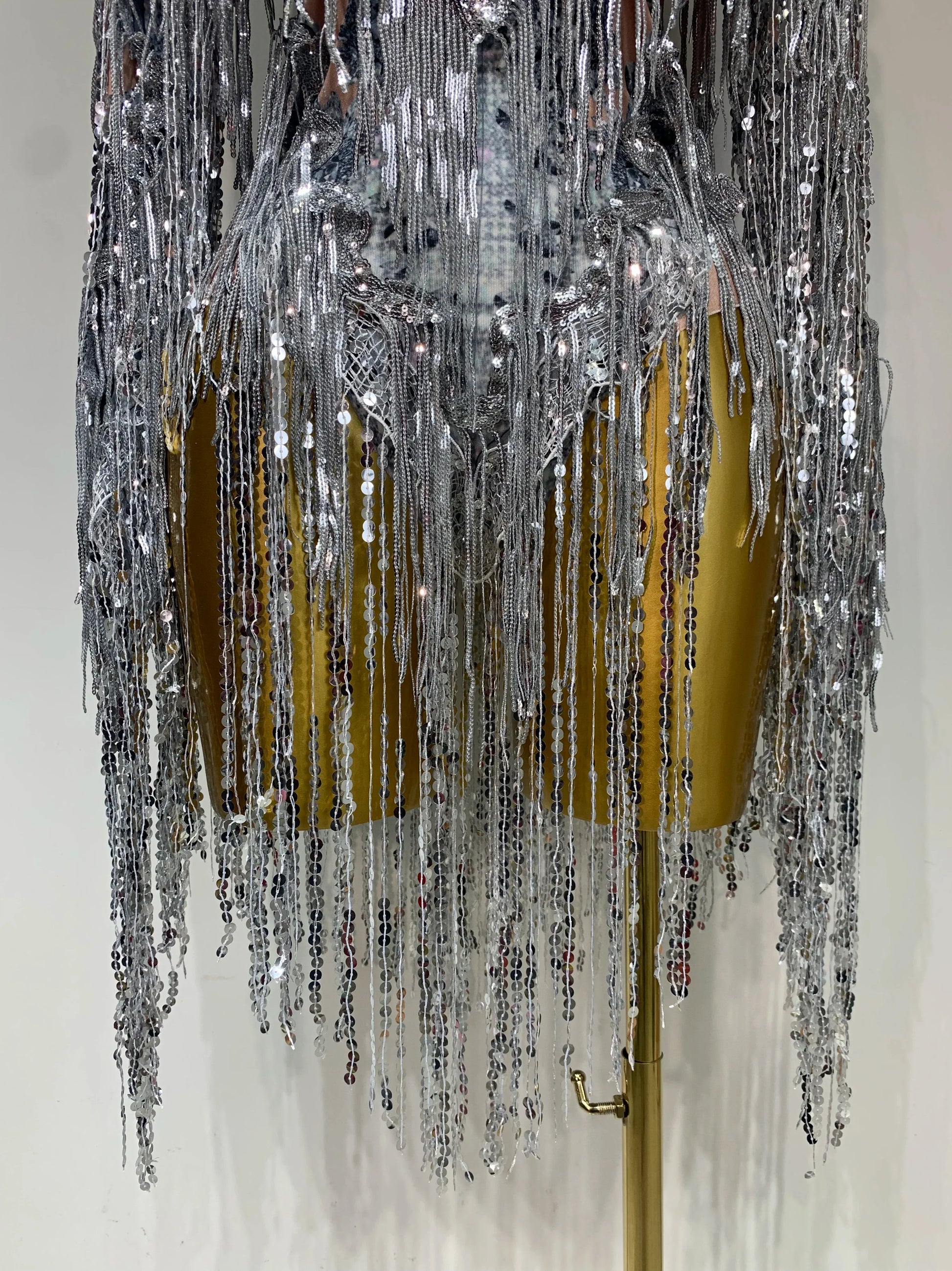 Sparkly Sequin Tassels Long Sleeve Silver Bodysuit Bar Women Singer Show Costume Celebrate Outfit Evening Dance Stage Outfit