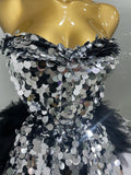 Stage Costume Women's Sparkly Sequin Mesh A Line Top Skirt 2 Pieces Set Nightclub Party Birthday Dress Photo Shoot Wear