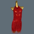 Latin Dance Gold Fringe Dress for Women Rumba Chacha Tango Practice Clothes Adult Children Latin Dancing Wear Outfit Tiaogao Red