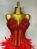 Sparkly Rhinestones Bodysuit Feathers Long Tail Dress Sexy Mesh Transparent Evening Party Celebrate Birthday Dress Stage Outfit