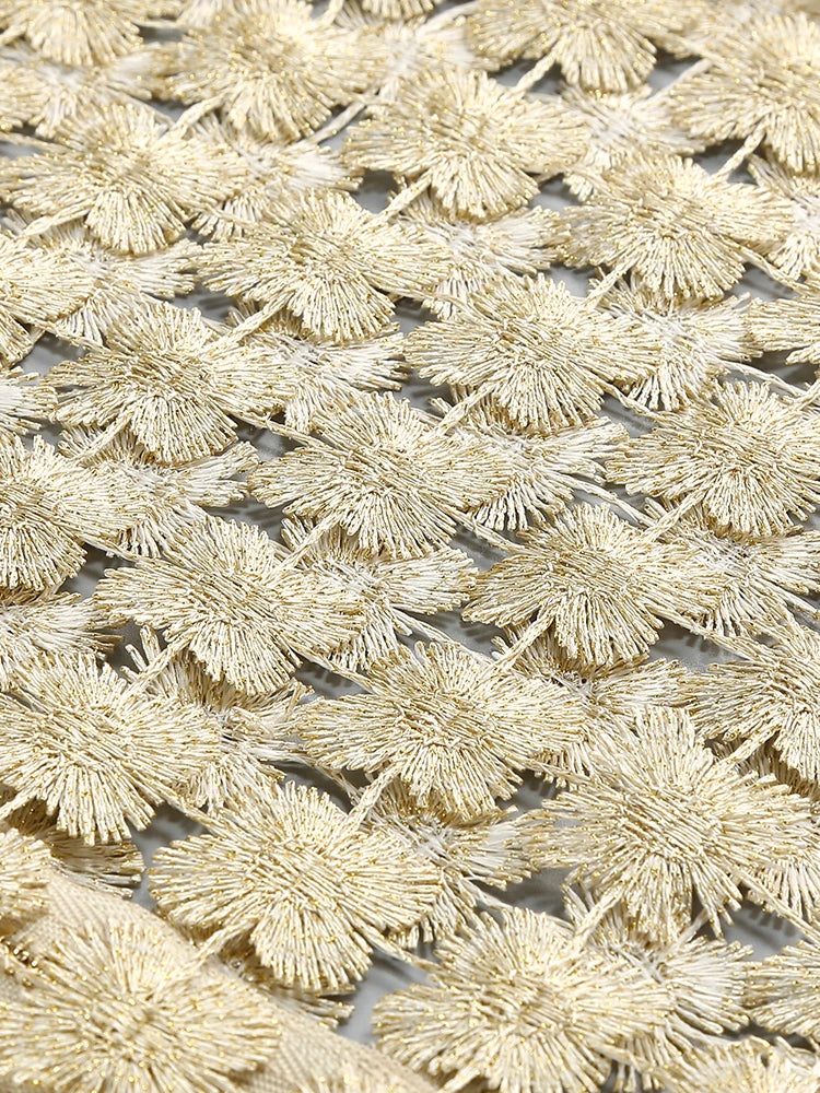 Stylish Beige Sleeveless Cropped Top & Sheer Skirt Set with Zipper for Festival & Party Chic Dress Gown