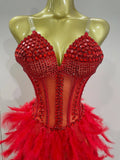 Luxury Sparkly Rhinestones Feathers Long Tail Dress Sexy Mesh Transparent Stage Bodysuit Evening Party Celebrate Birthday Dress