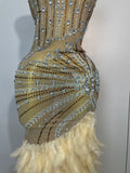 Sparkly Sexy Crystal Floor-Length Feathers Maxi Dress Elegant Evening Party Birthday Performance Prom Dance Stage Costume