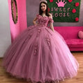 Charming Pink Evening Dresses 3D Applique Puffy Skirt Lace-Up Back Sweet Party Dress Long Prom Gowns Picture color