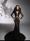 Lace Accent Maxi Dress High Neckline Cut-out Tulle Fabric Long Sleeves Floor Length Cocktail Party Evening Gowns