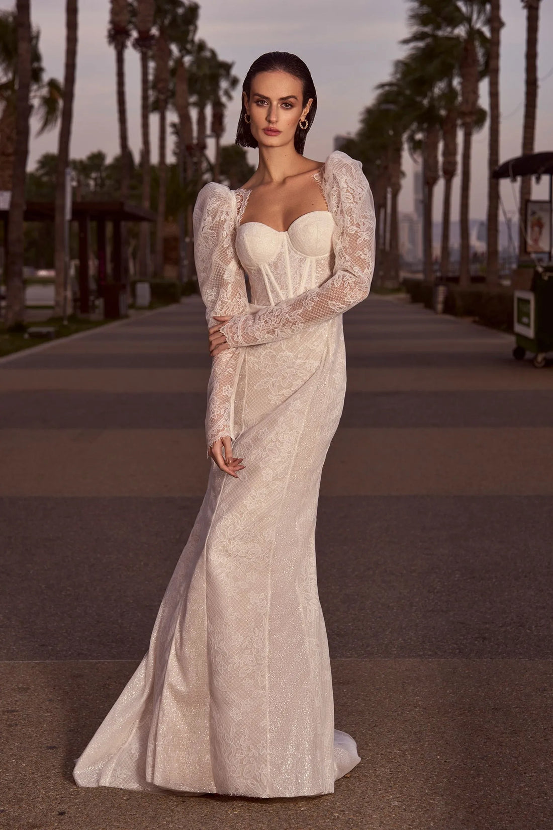 Dress Long Sleeve Mermaid Bride Gowns Sweetheart Illusion Gown Vestidos De Novia Satin