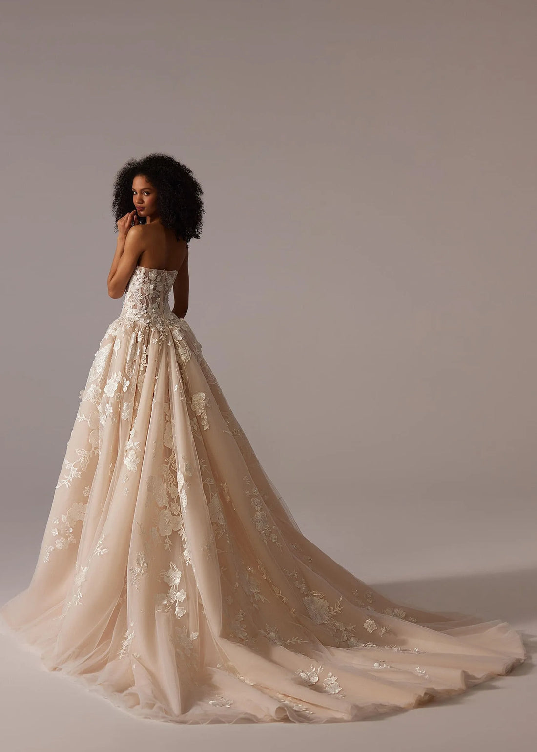 Champagne Wedding Dress for Women Long A Line Bride Dress Classy Bridal Gown Satin